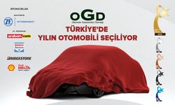 OGD Tüm Kategorilerde Adayları Belirledi