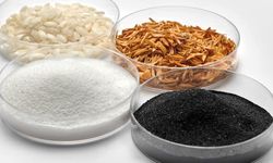 Continental, pirinç kabuğu küllerinden lastik üretiyor