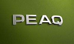 Škoda, SUV ürün gamını Peaq ile genişletiyor