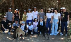 EKOL Lojistik 9 milyon sahipsiz hayvana destek oldu