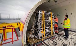 DHL Express’ten ağır yük taşımacılığına yeni ekspres çözüm