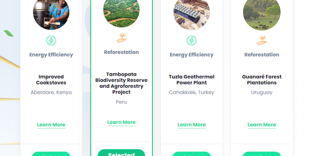 ShipsGo’dan'dan konteyner taşımacılığı için karbon ofsetleme hizmeti