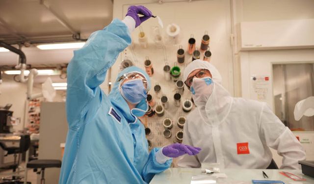 Stellantis yeni nesil batarya hücresi teknolojisi için Fransız CEA ile iş birliği yapacak