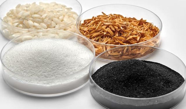 Continental, pirinç kabuğu küllerinden lastik üretiyor