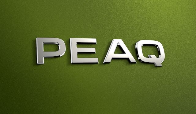 Škoda, SUV ürün gamını Peaq ile genişletiyor