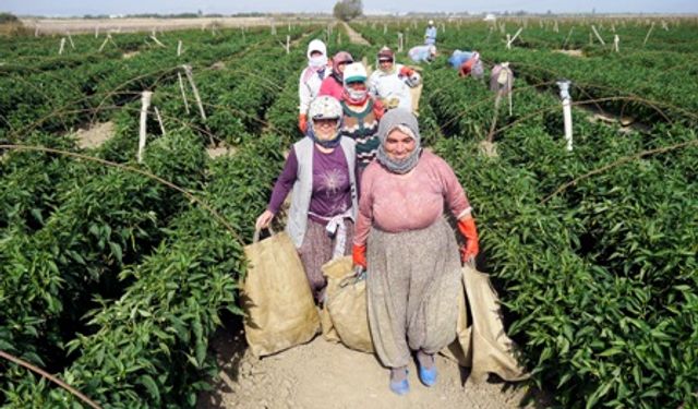 Lassa tarımda sürdürülebilirlik için Bursa’daydı
