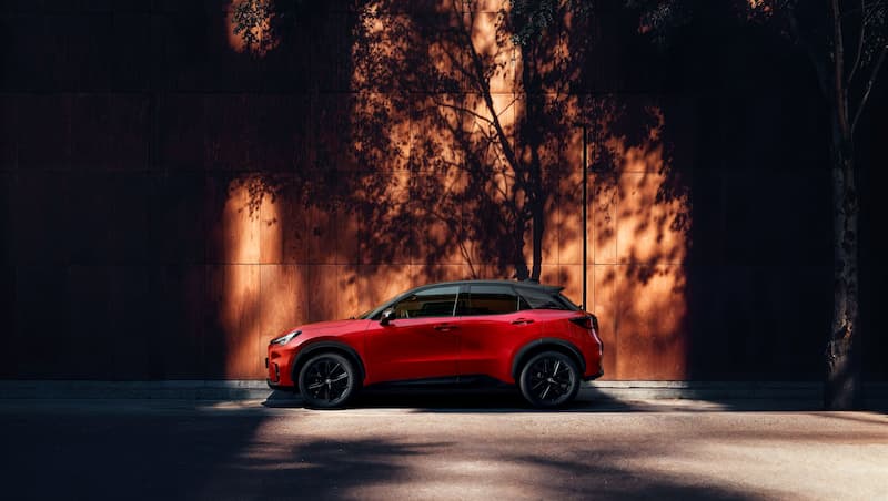 Lbx Vibrant Edition (3)